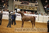 08usn-s08013 proof