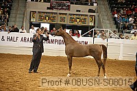 08usn-s08015 proof