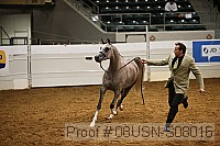 08usn-s08016 proof