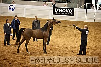 08usn-s08018 proof