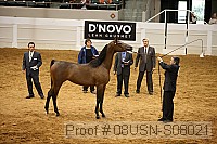 08usn-s08021 proof