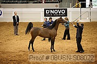 08usn-s08022 proof