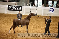 08usn-s08026 proof