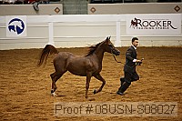 08usn-s08027 proof