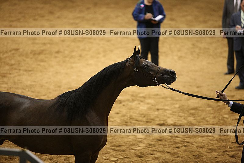 Proof 08usn-s08029