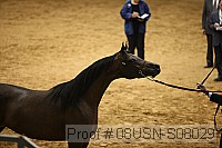 08usn-s08029 proof