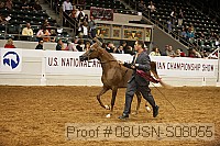 08usn-s08055 proof