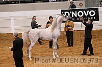 08usn-09979 proof