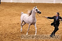 08usn-09980 proof