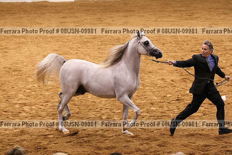 Proof 08usn-09981
