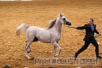 08usn-09981 proof