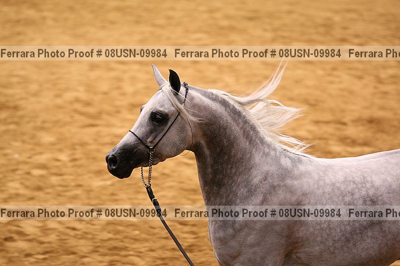 Proof 08usn-09984