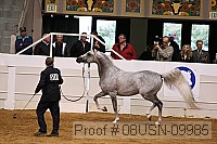 08usn-09985 proof