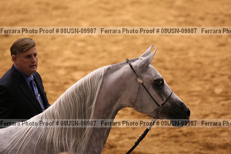 Proof 08usn-09987