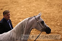 08usn-09987 proof