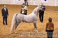 08usn-09989 proof