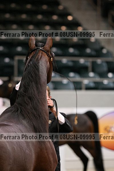 Proof 08usn-09995