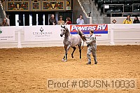 08usn-10033 proof