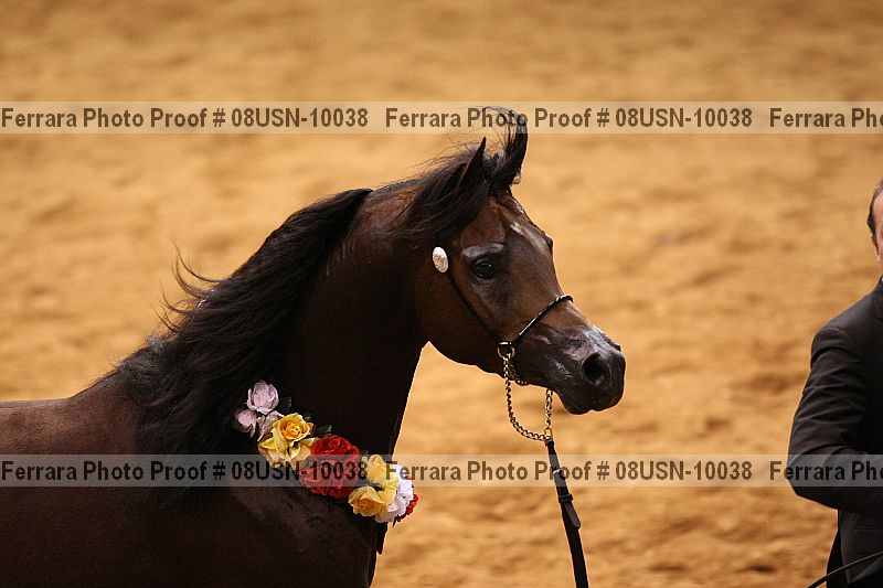 Proof 08usn-10038