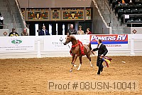 08usn-10041 proof