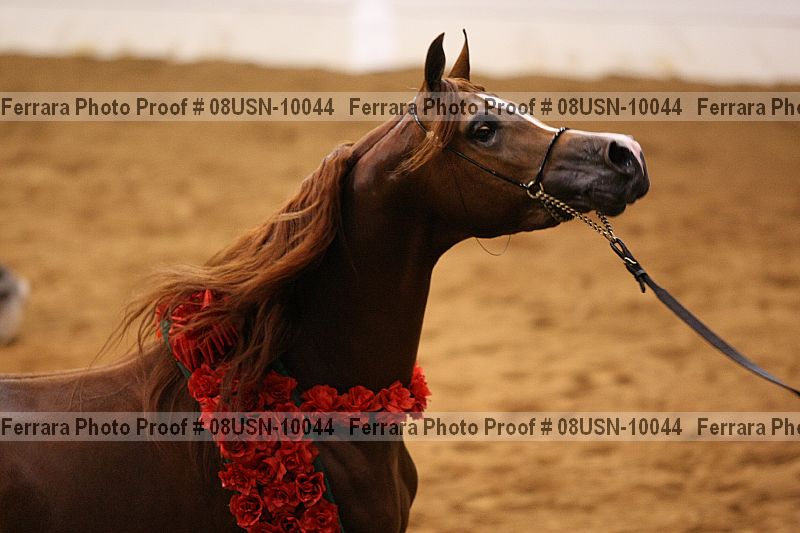 Proof 08usn-10044