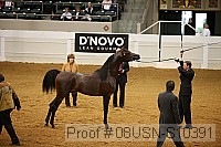 08usn-s10391 proof