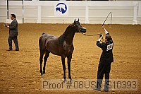 08usn-s10393 proof