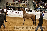 08usn-s10394 proof