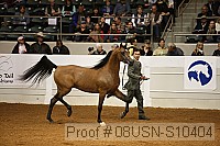 08usn-s10404 proof