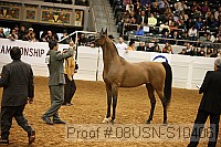 08usn-s10406 proof