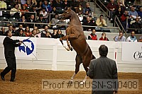 08usn-s10408 proof
