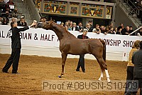 08usn-s10409 proof
