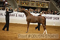 08usn-s10410 proof