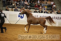 08usn-s10411 proof