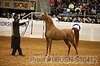 08usn-s10412 proof
