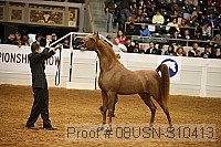 08usn-s10413 proof