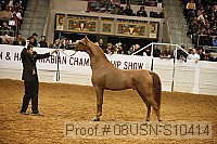 08usn-s10414 proof