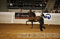 08usn-s10415 proof