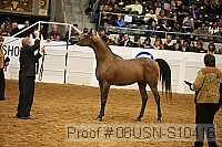 08usn-s10416 proof