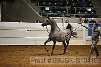 08usn-s10418 proof