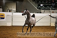 08usn-s10419 proof