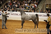 08usn-s10421 proof