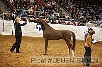 08usn-s10424 proof