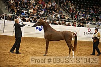 08usn-s10425 proof
