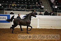 08usn-s10426 proof