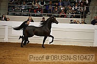 08usn-s10427 proof