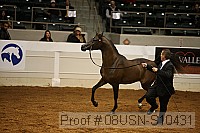 08usn-s10431 proof