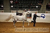 08usn-s10443 proof