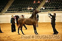 08usn-07755 proof