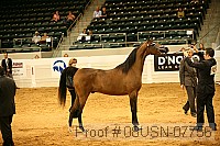 08usn-07756 proof